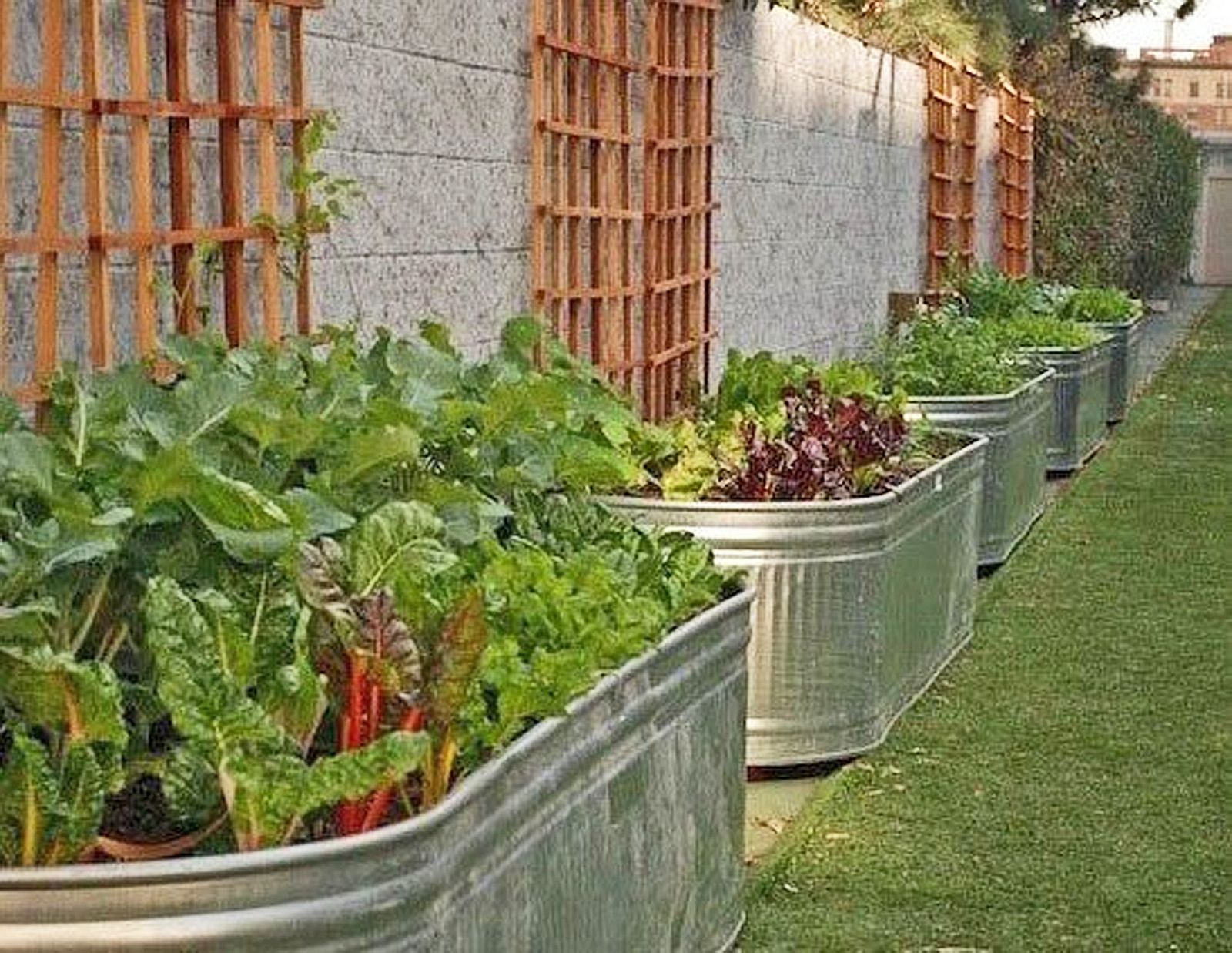 Organic gardening that will uplift the value of your house: Here are the tips you can follow